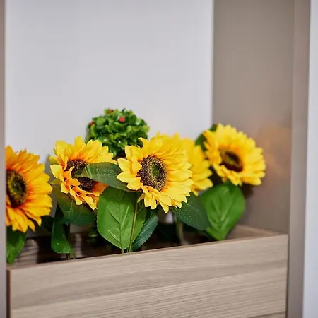 Apartament El Capitan - N Pool Resort, La Mare, 2 *